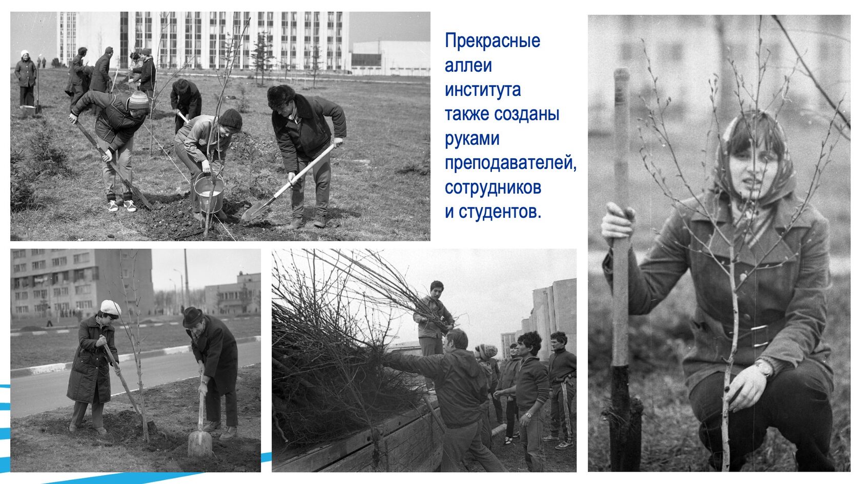 Строительство и благоустройство БГТУ им. В.Г. Шухова. Слайд 14